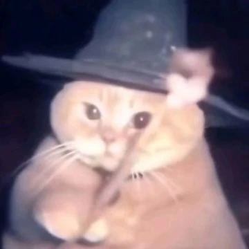 Софья Засядько