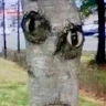 Erlkönig